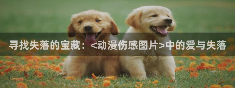 cos动漫天堂官网下载