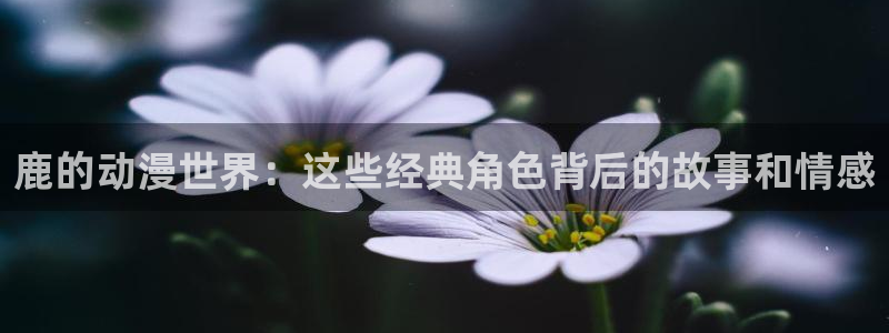 禁漫动漫天堂