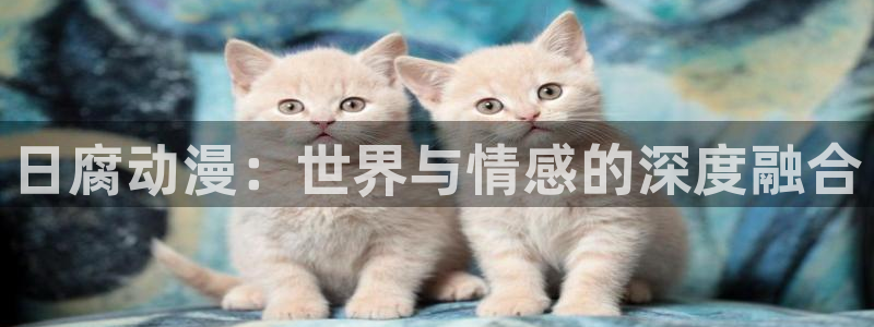 番剧推荐动漫天堂.