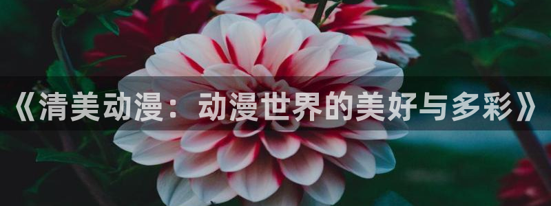 动漫天堂在线观看