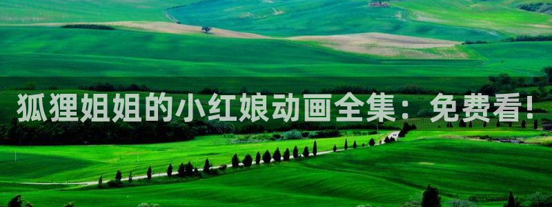 动漫天堂网站