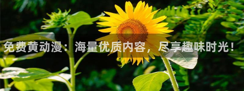 动漫天堂下载