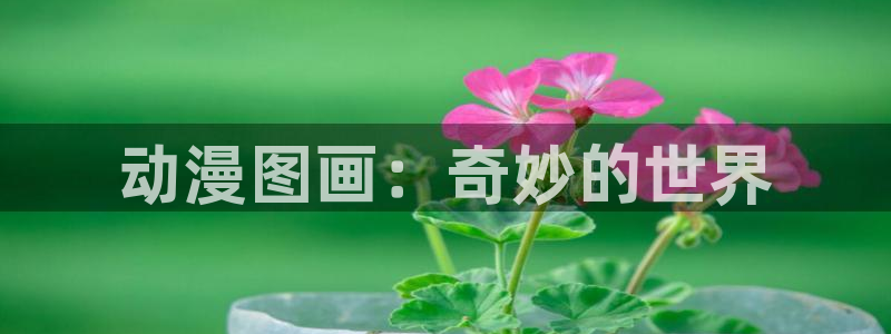 av动漫天堂网