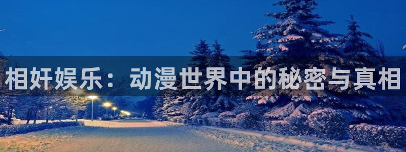 动漫天堂91