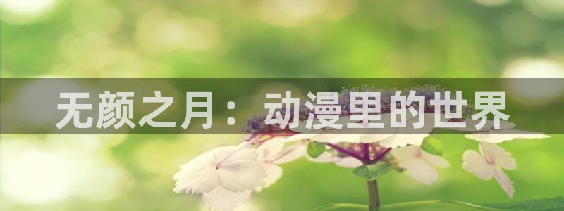 动漫天堂官方正版下载