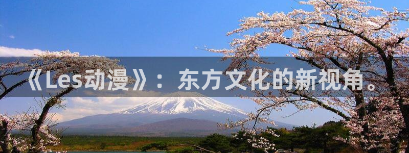 bt动漫天堂：《Les动漫》：东方文化的新视角。