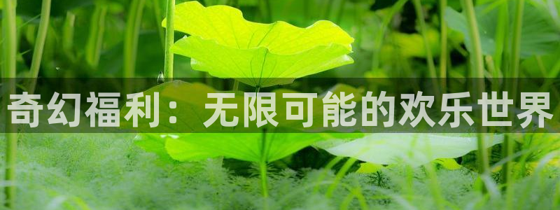 动漫天堂软件：奇幻福利：无限可能的欢乐世界