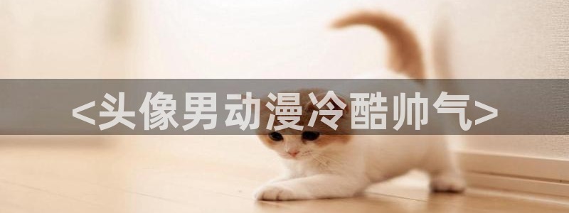 下载动漫天堂：<头像男动漫冷酷帅气>