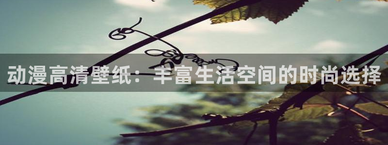 3d动漫天堂网：动漫高清壁纸：丰富生活空间的时尚选择